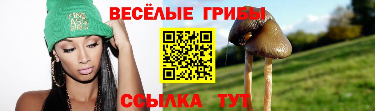 Псилоцибиновые грибы Magic Shrooms  купить наркоту  Лабытнанги  Псилоцибиновые грибы Cubensis  Вход с VPN 